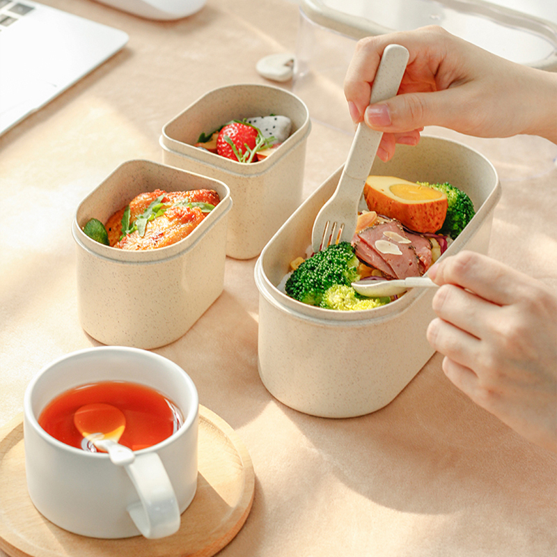 친환경 도시락 도시락 상자, 일본 음식 도시락 상자,  - Meal Prep Or Prep Meal 리뷰 및 가격