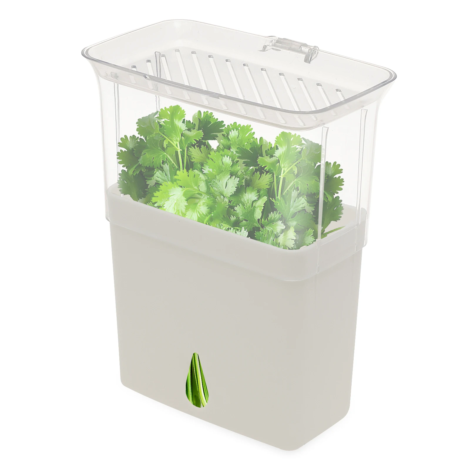 허브 보관 용기, 냉장고용 밀폐형 신선 허브 키퍼, 야 - Herb Keeper Bottle 리뷰 및 가격